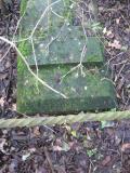 image of grave number 198191